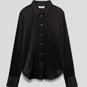 Aritzia babaton silk industry button down shirt